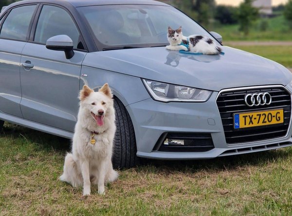 Quels sont les avantages des habitats mixtes pour la biodiversité?